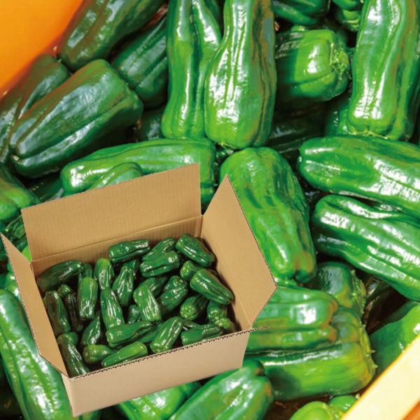 ファーム　高知県産ピーマン14キロ送料込み Amazon | 高知県産 減農薬ピーマン 1kg｜植田ファーム｜苦味