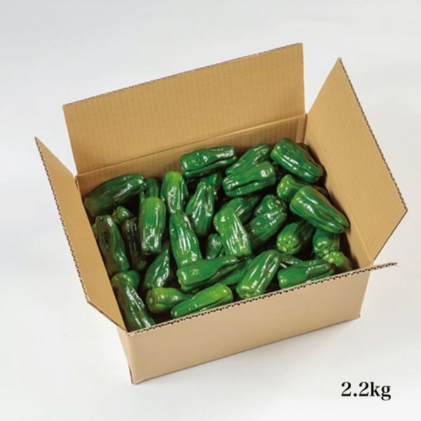 栽培期間中農薬・化学肥料不使用【手摘みの夏野菜】三浦農園の