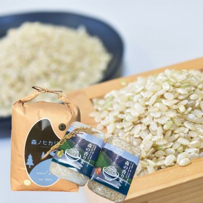 令和6年産 新米特集 | しまんとリバーストア 令和6年産 新米特集 | しまんとリバーストア