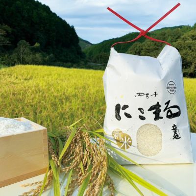 ファーム様専用 高知県産ピーマン14キロ送料込み 食品