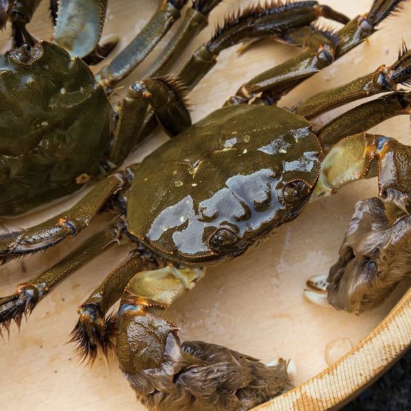 000000000456-01-l.jpg?t= 000000000456-01-l.jpg?t=